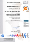 Сертификат_ISO_14001-2015_гибкая_черепица_TEGOLA