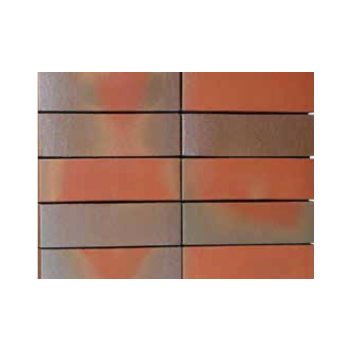 Облицовочный кирпич GREETSIEL Фризланд пестрый (friesisch-bunt) гладкая (glatt), 240x115x71 мм, Röben